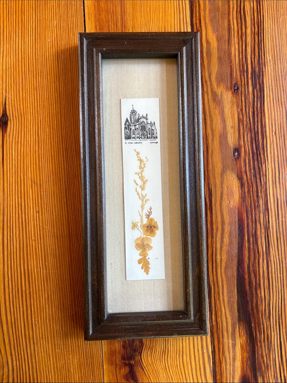 Vintage Framed Pressed Flowers On Bookmark St. Giles' Cathedral Edinburgh